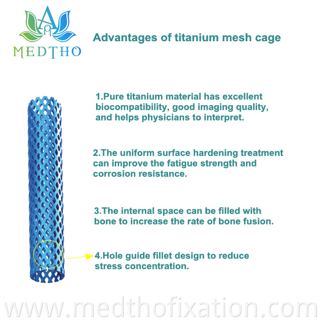 titanium mesh cage cervical spine